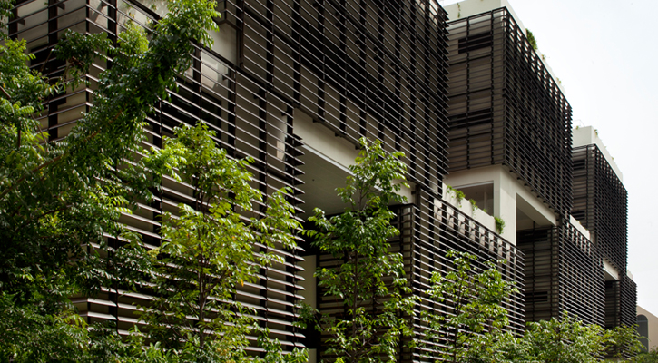 projs-725-400-Lions3