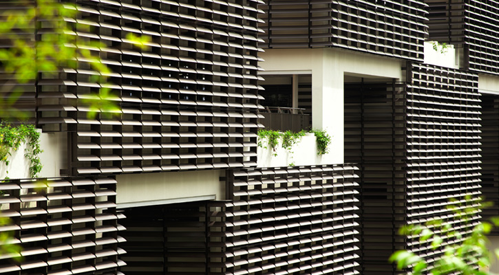 projs-725-400-Lions4