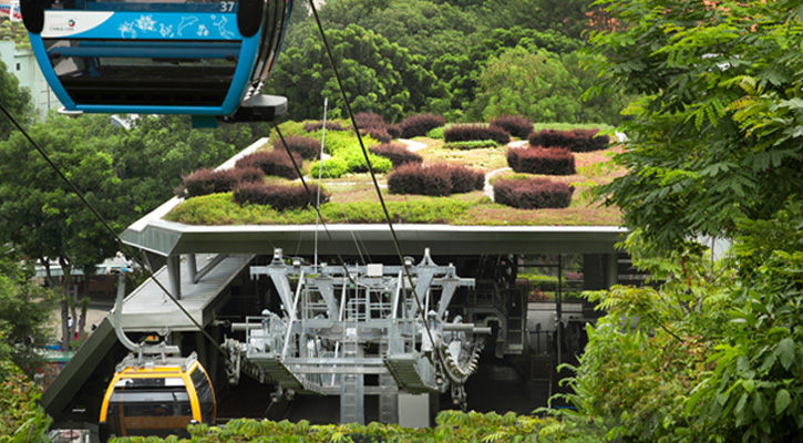 projs-725-400-Cableway6