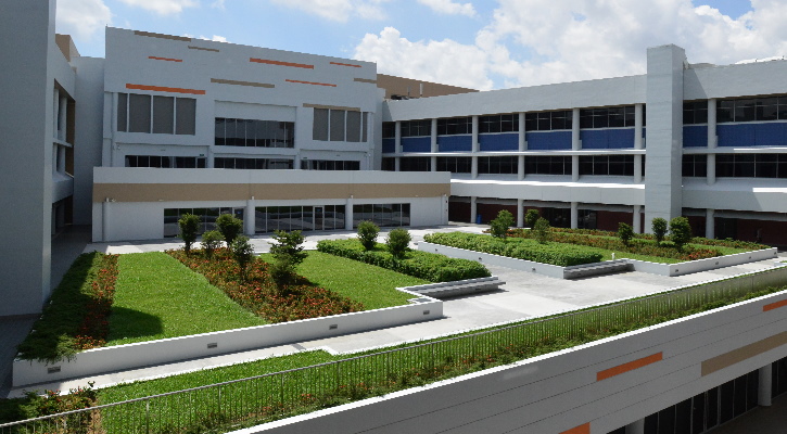 DSC_0286-30apr2015-DB Factsheet-725-400