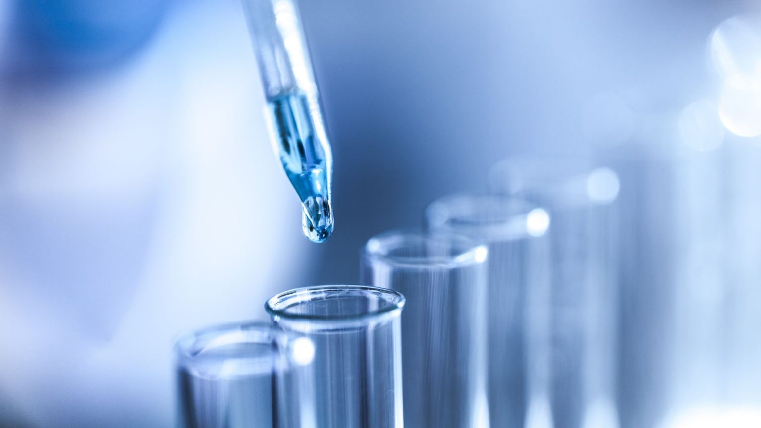 Services – Squire Mech